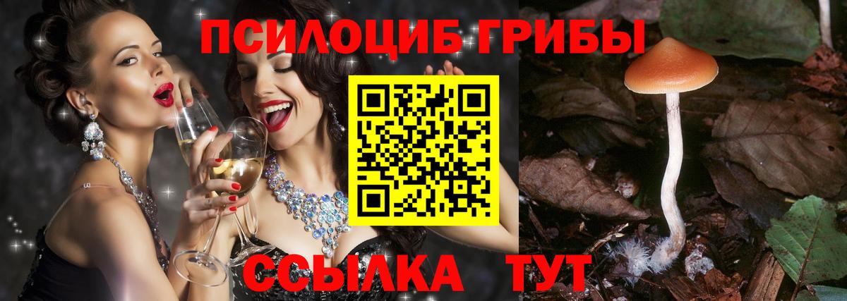 хочу наркоту  Вход с VPN  Бутурлиновка  Галлюциногенные грибы мухоморы 